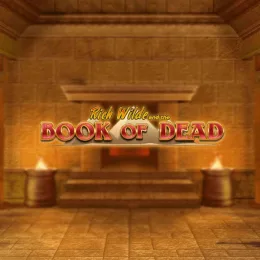 Image for Book of Dead