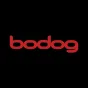 Logo image for Bodog Casino