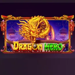 Dragon hero