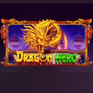 Dragon Hero Dragon Hero
