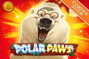 Polar Paws Polar Paws